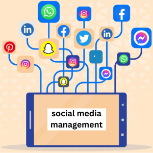 what is social media management