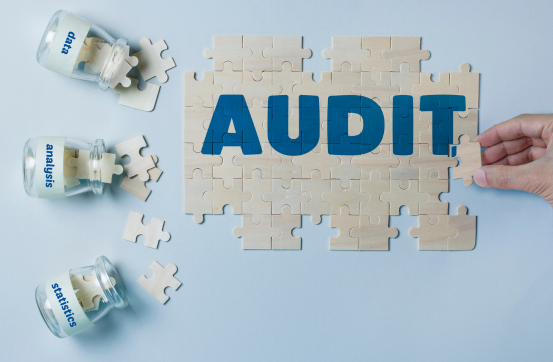 Social Media Auditing Service